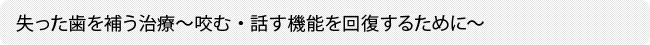 失った歯を補う治療～咬む・話す機能を回復するために～